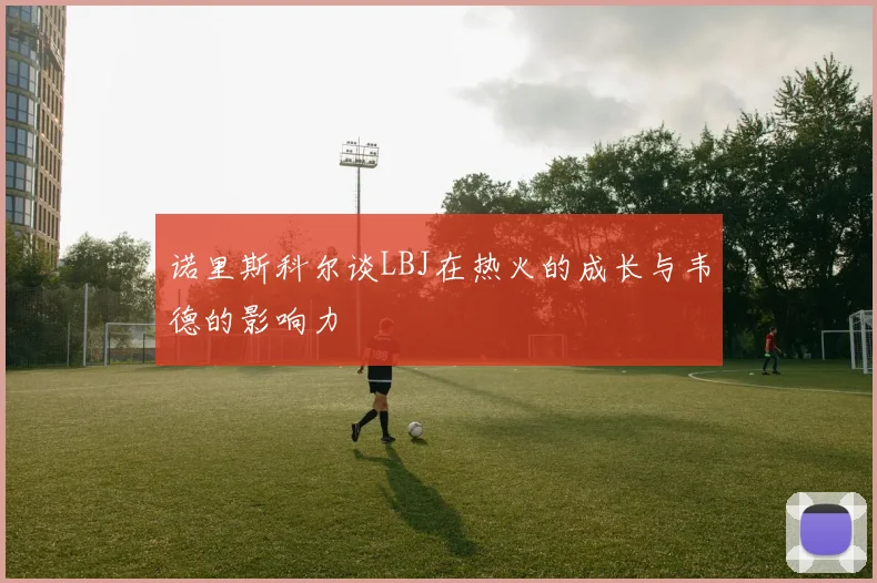 诺里斯科尔谈LBJ在热火的成长与韦德的影响力